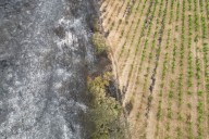Major French wildfire is unlikely to be under control until late on Sunday