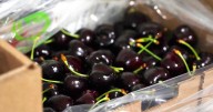 Roca será sede del encuentro anual donde la cereza es protagonista