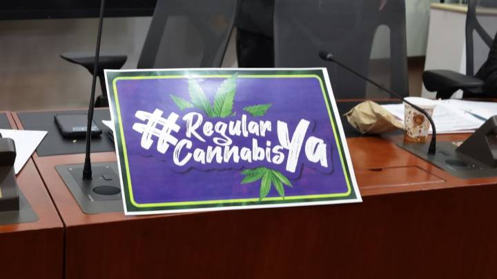 Regularización del cannabis de uso adulto, aprobado en primer debate; proyecto divide opiniones