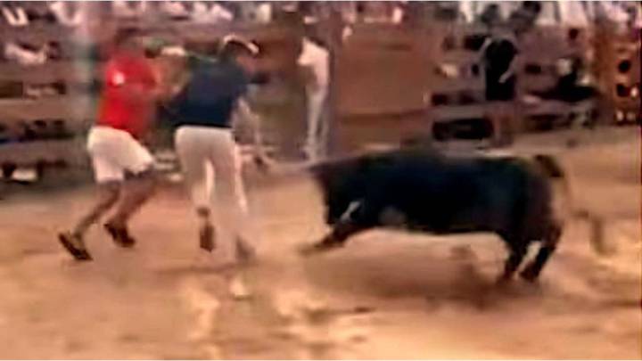 Un periodista español fue embestido en vivo por una vaca luego de ser arrastrado a una corrida
