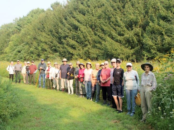 Trail Talk: Butterflies, moths and caterpillars