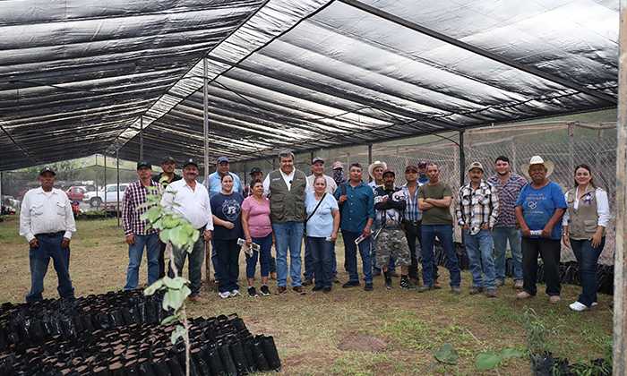 Destinan al campo de Sonora 245 mdp