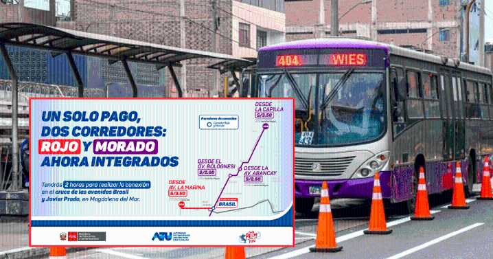 Corredores Rojo y Morado permiten transbordo por máximo S/3.50: conoce cómo acceder a la ruta desde SJL hasta San Miguel