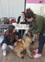 Castraron y vacunaron mascotas en Ugarte