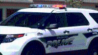 Dog found with severe injury, woman charged with animal cruelty in Williston