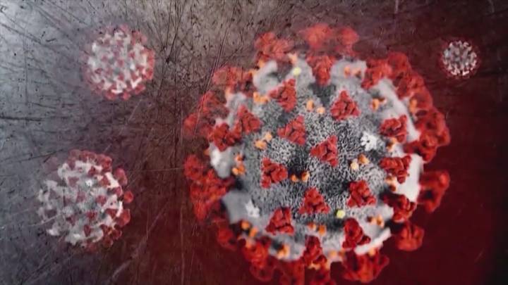Where the summer COVID-19 infections are hitting hardest