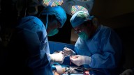 China realiza primer trasplante de pulmón de cerdo a un humano