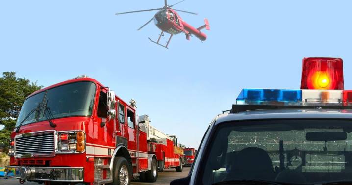 6 found dead at dairy operation in Weld County