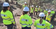 Proteger los montes de Jaén y generar empleo rural: un proyecto piloto incide en la poda y clareo