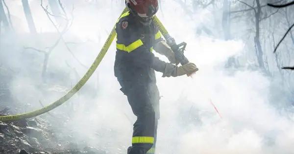 Calor eleva alertas en el sur de Francia