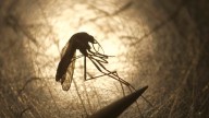 West Nile virus confirmed in Oakland County resident