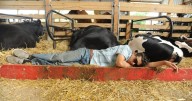 PHOTOS: Enjoying the week at Wyoming County Fair