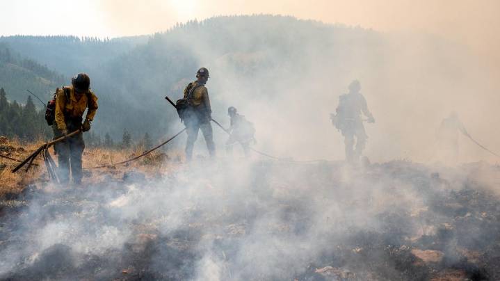 2 firefighters battling Bear Gulch Fire arrested by Border Patrol