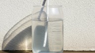 Las tres plantas que podés regar con el agua del aire acondicionado