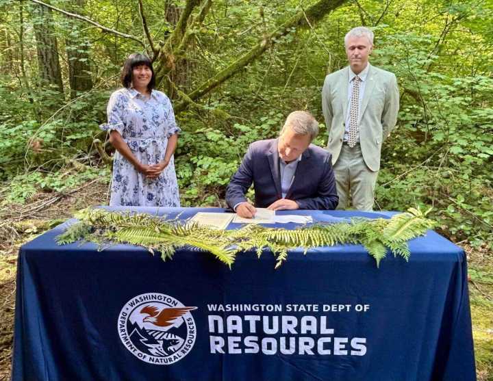 WA lands commissioner moves 77,000 acres of older state forests into conservation