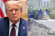 Donald Trump Banishes Contractor Over 'Gash' in Patio in White House Rose Garden: Watch