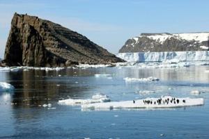 Antarctic climate shifts threaten ‘catastrophic’ impacts globally