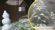 Con la capital cubierta de blanco: Revisa los registros que ha dejado la nieve en la Región Metropolitana