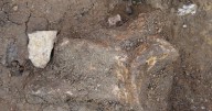 Ancient humans went the extra mile (literally) for quality stone tools