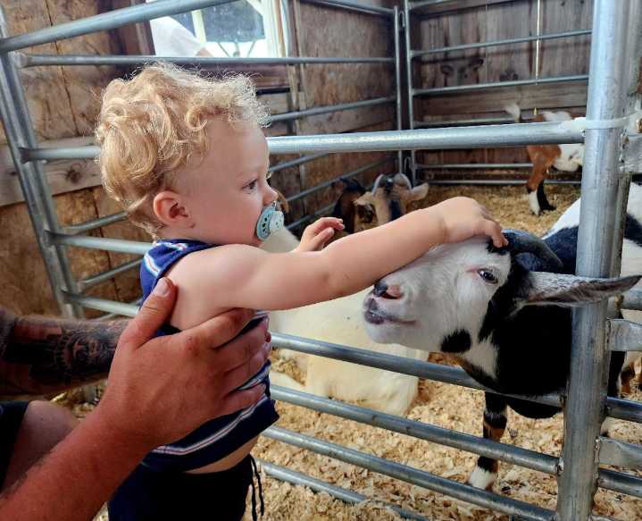 After 156 years, the Blandford Fair is better than ever