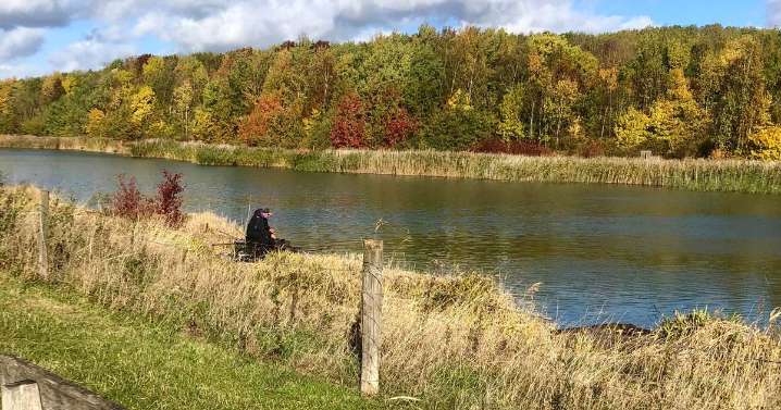 Country park issues warning over toxic levels of algae in lake