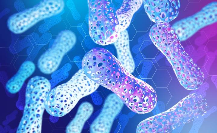El gut microbiome: la conexión entre las bacterias intestinales y enfermedades crónicas