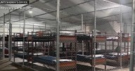 Families to hold vigil at "Alligator Alcatraz"