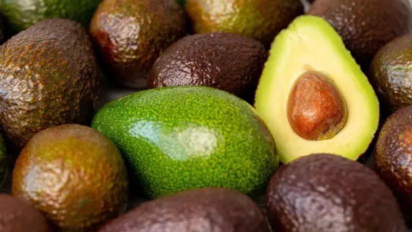 Día Nacional de la Palta: motor del agro, embajadora global y protagonista de su propio día nacional