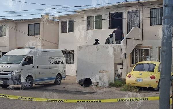 Cocaína y fentanilo en estrangulamiento de tres
