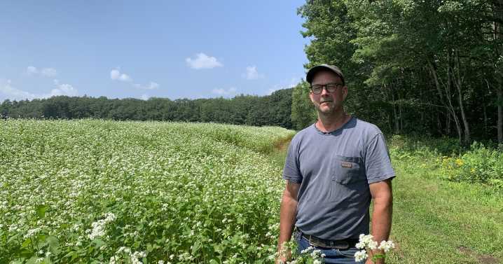 Report: Organic agriculture in Maine faces serious headwinds, despite long
