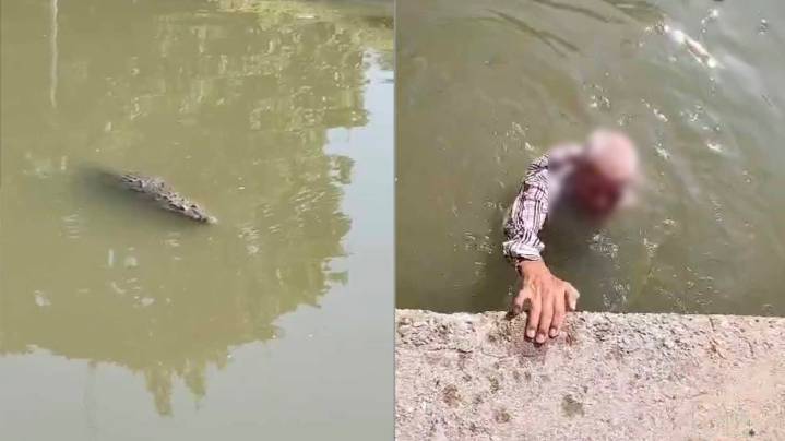 Rescatan a Abuelito de Ataque de Cocodrilo Mientras Nadaba en Canal de la Cortadura en Tampico