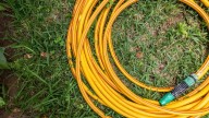 No tires la manguera rota o pinchada que tenés en casa: mirá esta hermosa creación que te sorprenderá