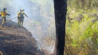 El Gobierno declara 'zona catastrófica' a Baleares por un incendio en Ibiza