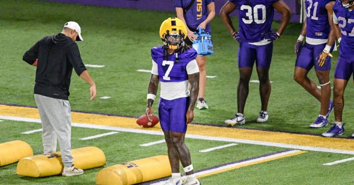 5 observations through the first half of LSU camp: Harold Perkins is back making plays