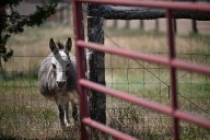 Protective of a neighborhood’s unique character, some Broomfield residents raise concerns over new state
