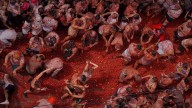 Tons of overripe tomatoes become projectiles in Spain's 'Tomatina' food fight