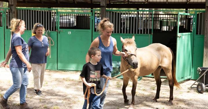 Atlantic County 4-H announces fair winners