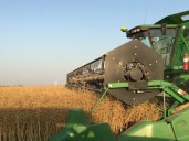 A key meeting for Canada's canola industry takes place today in Saskatoon