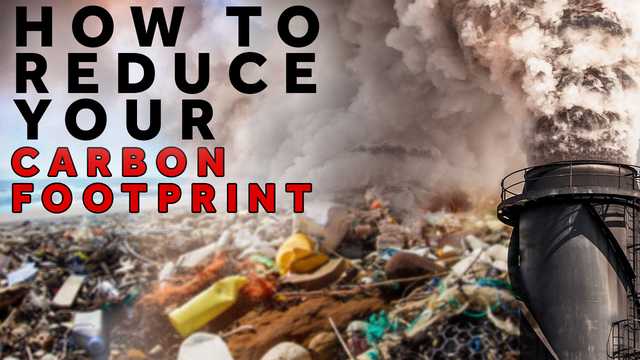 Here’s what you need to know about fighting climate change