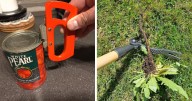 These 21 Finds Are So Durable, You’ll Probably Get Sick Of Them Before They Break