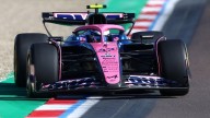 Colapinto en la Fórmula 1: el GP de Países Bajos pone primera con las prácticas libres 1 y 2