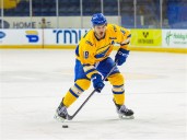 Walleye sign forward Gurosy, a rookie from Windsor