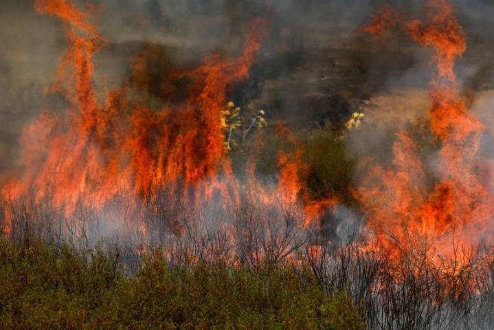 Second volunteer dies battling wildfire in Spain's Leon province