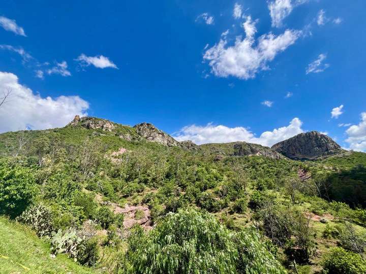 Activistas piden acelerar declaratoria de La Bufa como Área Natural Protegida