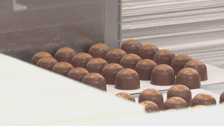 What should Ohio’s official candy be? ‘It’s gotta be the buckeye,’ one lawmaker says