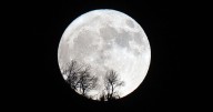 NASA plans to put a nuclear reactor on the moon. Here's what that means