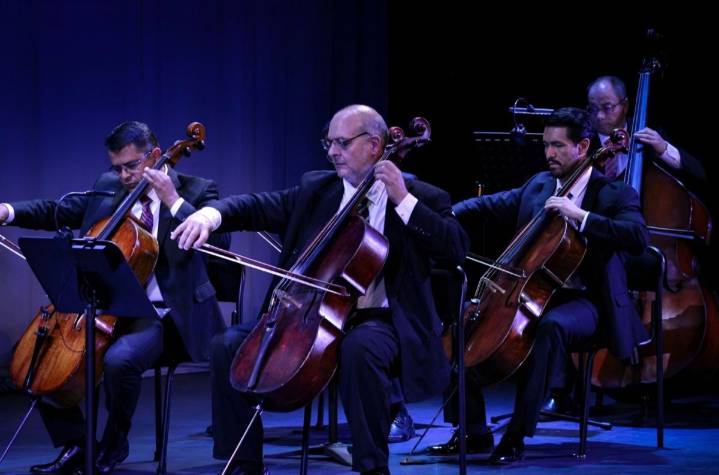 CEART CELEBRA 17 AÑOS CON CONCIERTO GRATUITO DE LA CAMERATA