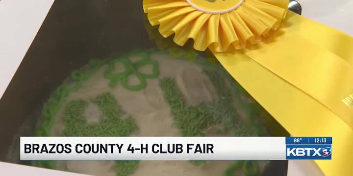 Brazos County kids can learn about 4