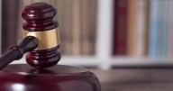 Schenectady landlord sued over alleged animal sales