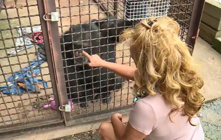 Chimp Crazy's Tonia Haddix sentenced to 46 months in prison